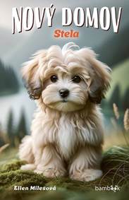 Nový domov – Stela kúpite na Knihyprekazdeho.sk