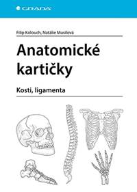 Anatomické kartičky kúpite na Knihyprekazdeho.sk