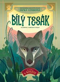 Kniha Klasika v kostce Bílý tesák