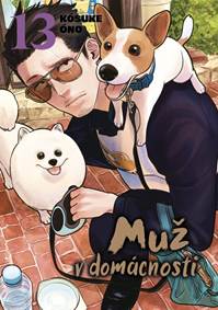 Kniha Muž v domácnosti 13