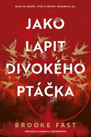 Jako lapit divokého ptáčka