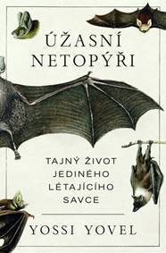 Úžasní netopýři