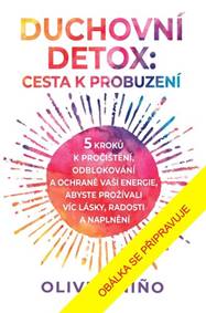 Duchovní detox Cesta k probuzení