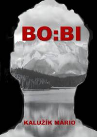 BO:BI