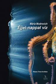 Éjjel-nappal víz
