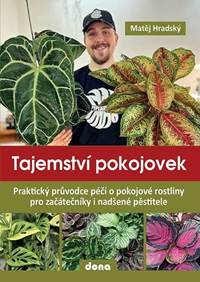 Kniha Tajemství pokojovek