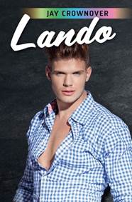 Kniha Lando