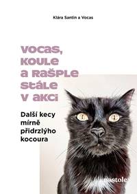 Další kecy mírně přidrzlýho kocoura