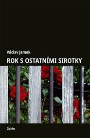Kniha Rok s ostatními sirotky