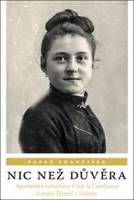 Kniha Nic než důvěra