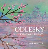 Kniha Odlesky
