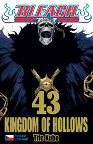 Kniha Bleach 43: Kingdom of Hollows
