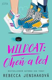 Kniha Wildcat Oheň a led