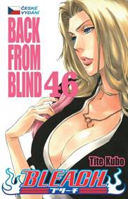 Kniha Bleach 46: Back From Blind