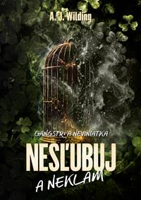 Nesľubuj a neklam