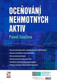 Kniha Oceňování nehmotných aktiv