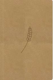 Kniha Bible21 kapesní Honey