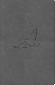 Kniha Bible21 kapesní Pepper