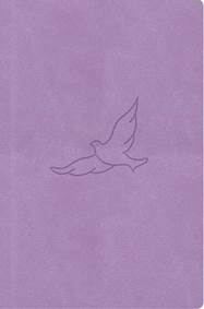 Kniha Bible21 kapesní Lila