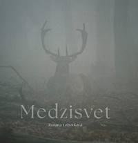 Medzisvet