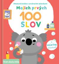 Kniha Mojich prvých 100 slov Svet okolo mňa