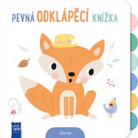Kniha Pevná odklápěcí knížka Slova