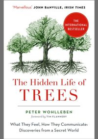 Kniha The Hidden Life of Trees : The International Bestseller - What They Feel, How They Communicate