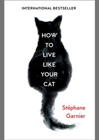How To Live Like Your Cat