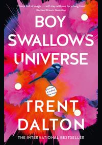 Boy Swallows Universe