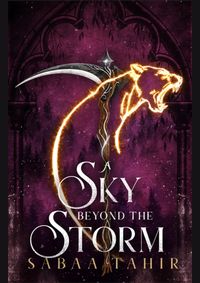 A Sky Beyond The Storm