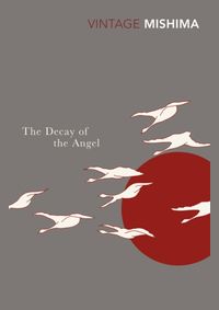 Kniha The Decay of the Angel