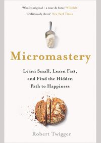 Micromastery: The Hidden Path to Success