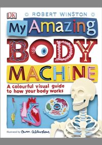 My Amazing Body Machine