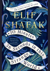 My Last 10 Minutes 38 Seconds in This Strange World