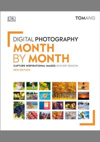 Digital Photography Month by Month