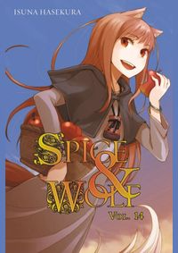 Spice And Wolf 14 Novel