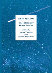 Kniha New Micro Exceptionally Short Fiction