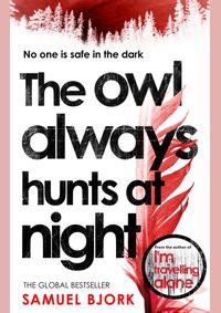 The Owl Always Hunts at Night