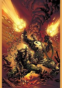 Wolverine Vs. The Punisher