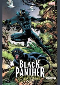 Black Panther Panthers Quest