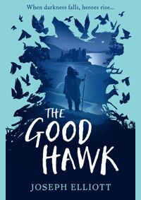 Kniha The Good Hawk (Shadow Skye, Book One)