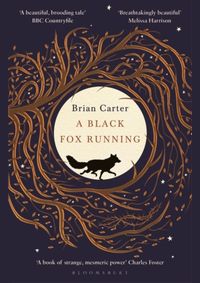 A Black Fox Running