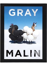 Gray Malin