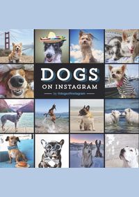 Kniha Dogs On Instagram
