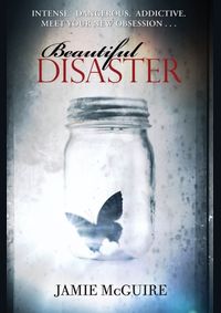 Kniha Beautiful Disaster