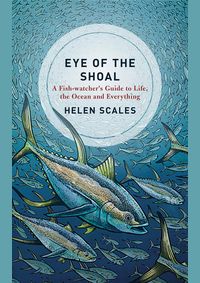 Eye of the Shoal