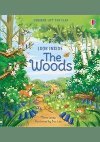 Look Inside the Woods