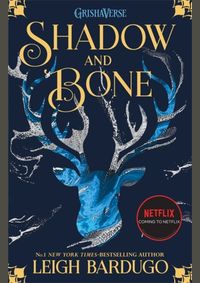 Kniha Shadow and Bone