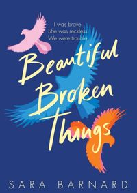 Kniha Beautiful Broken Things