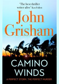 Camino Winds : The bestselling thriller writer in the world offers the perfect escape in his new murder mystery